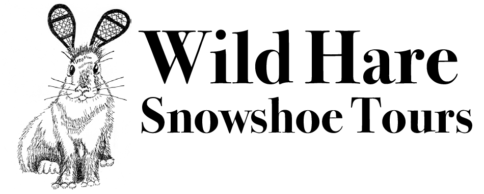 Wild Hare Snowshoe Tours